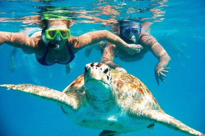 snorkeling with turtles in zante