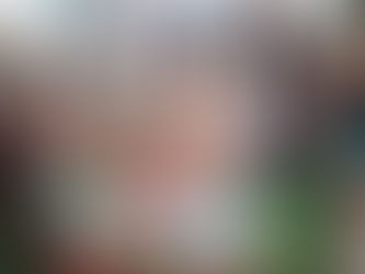 Early Bird Event Tickets & Packages for Zante 2026: Your VIP Access to Paradise