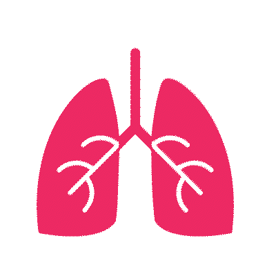 Pulmonology