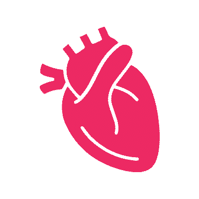 
Cardiology