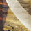 Thumbnail: Democracy in Crisis:  The Challenges Facing America in the 21st Century