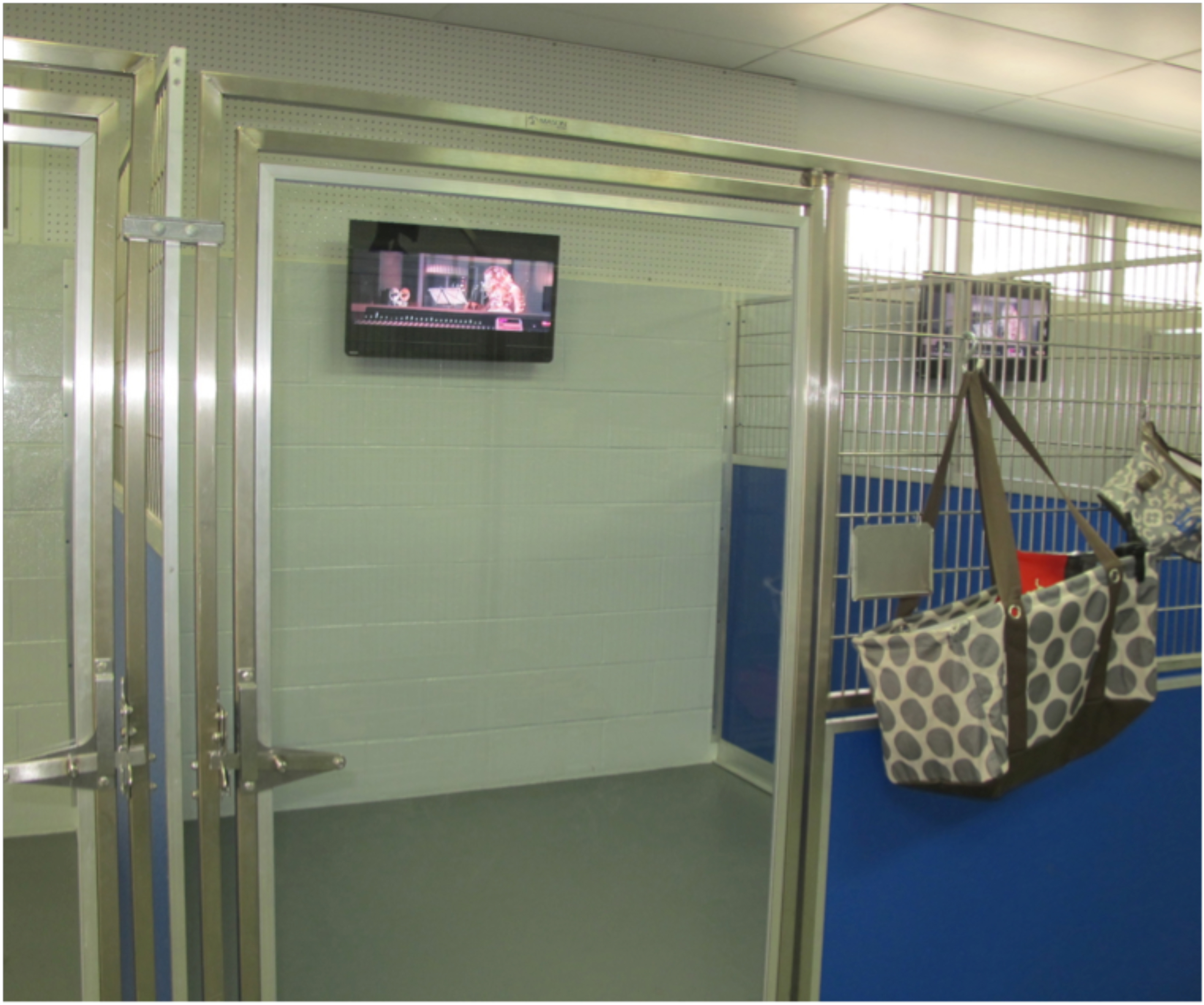 K-9 Grooming & Pet Motel