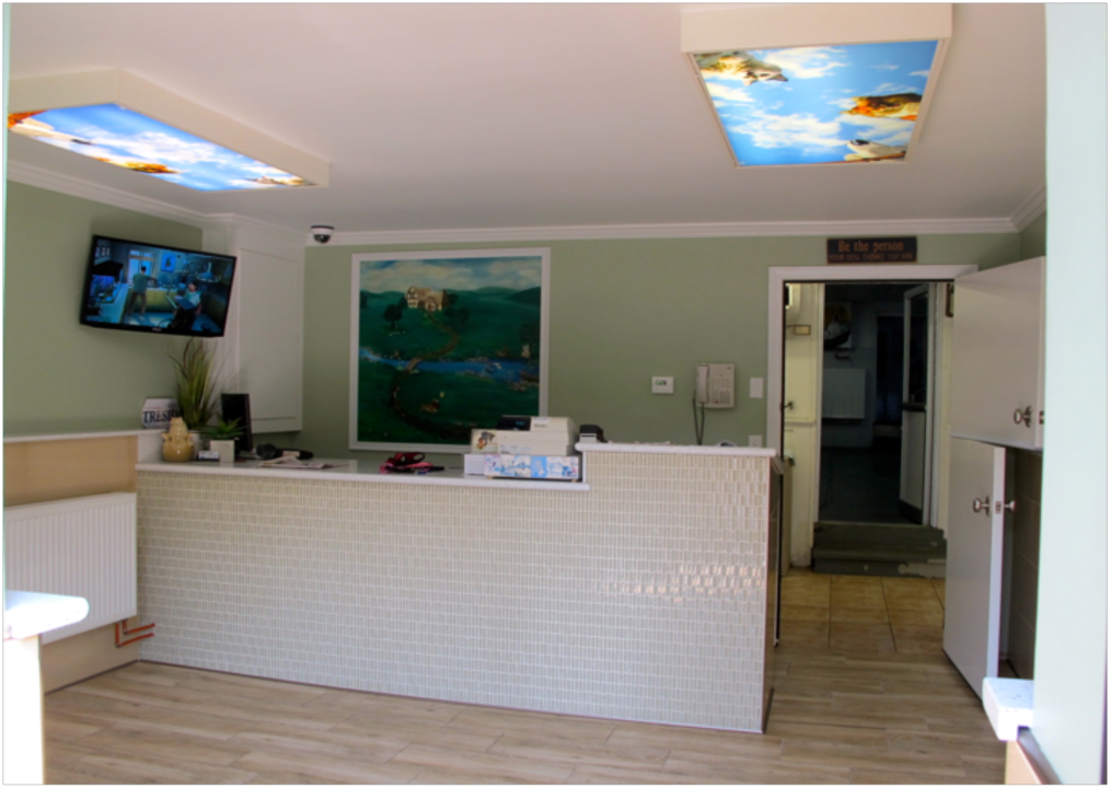 K-9 Grooming & Pet Motel