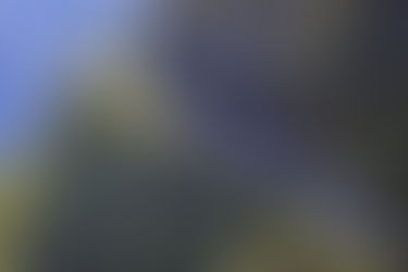 London marathon #8: 13 weeks to go