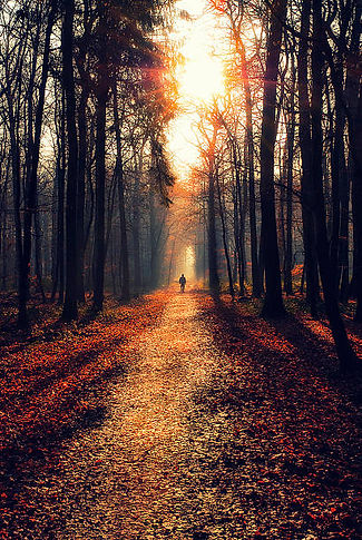 istockphoto-521746975-612x612.jpeg