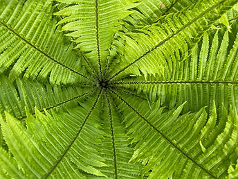 IMG_5117 2023-05-29 09_18_27_edited.jpg