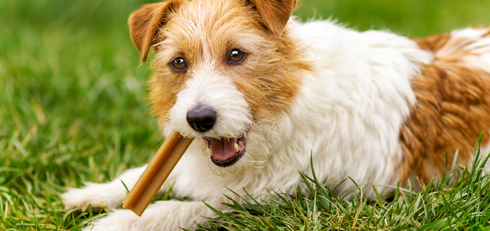 Untitled (1163 x 550 px) (1).png