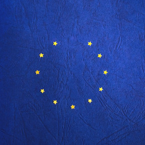 Why This Rebel Is Keen To Remain In Europe