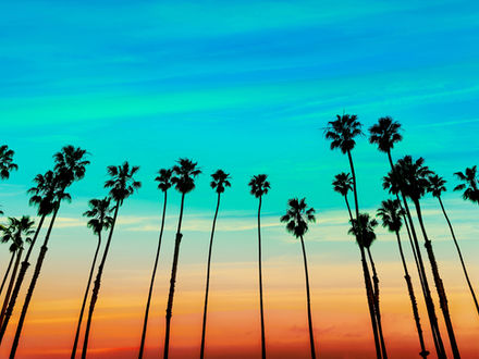 Update Your FBI Background Check After a California Expungement