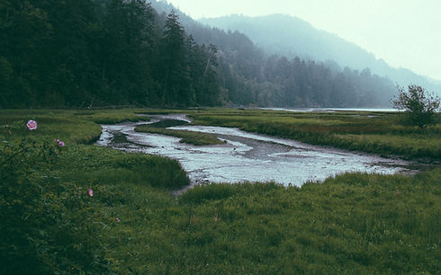 Grassy river with cloudy mountain backdrop, trees, and foggy atmosphere