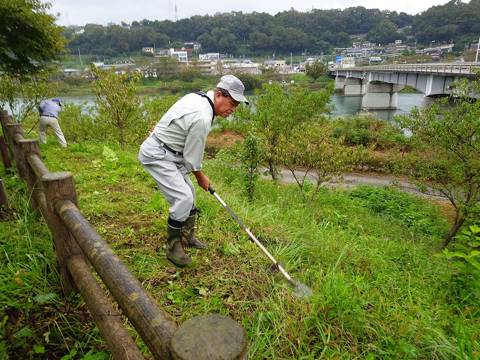 伝説では、この鶴島地区で桃太郎が誕生したとのこと。伝説にちなみ「花桃」が数多く植えてあります。
