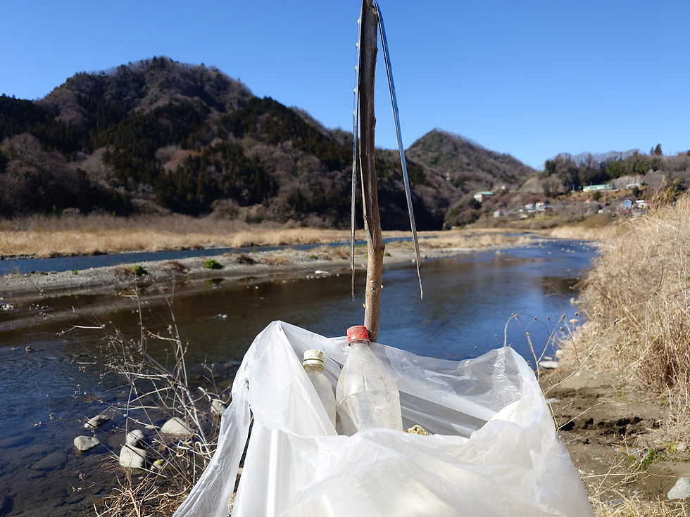 桂川の氾濫防止の浚渫が、今年は中断しているようです