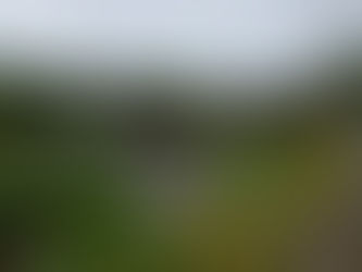 UKKと桂川河川敷の清掃活動を行いました