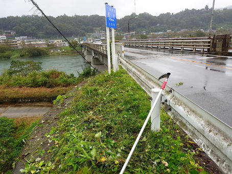 桂川橋周辺の除草活動を行ないました