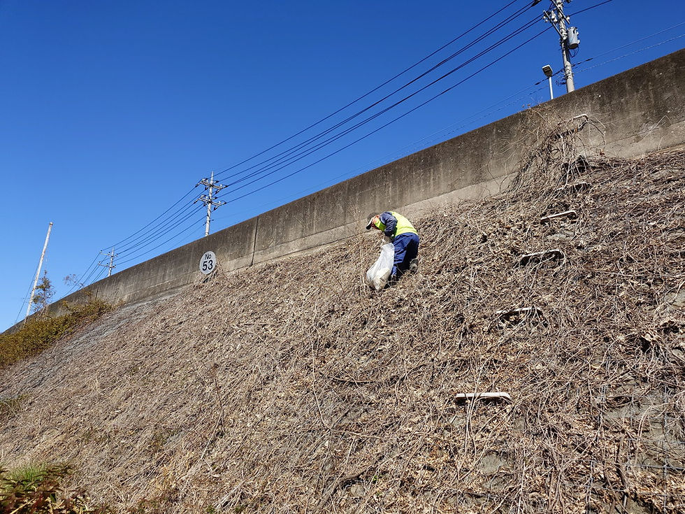 近くを走る県道の下の斜面にもゴミがありました