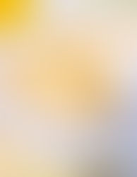 Olivenöl-Cookies mit weißer Schokolade, Zitrone & Meersalz