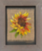 Sunflower On Burlap