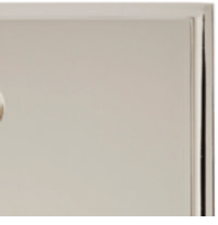 Polished Nickel US14.png