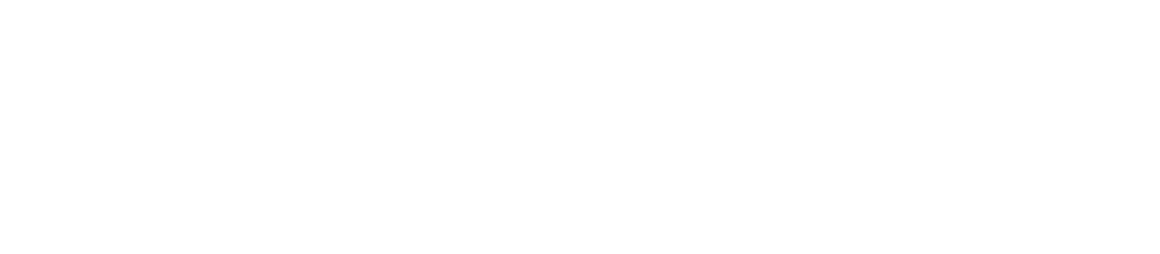 MAVIK_LOGO_WHITE.png