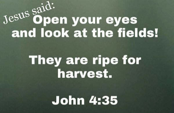 John 4 35_edited.jpg