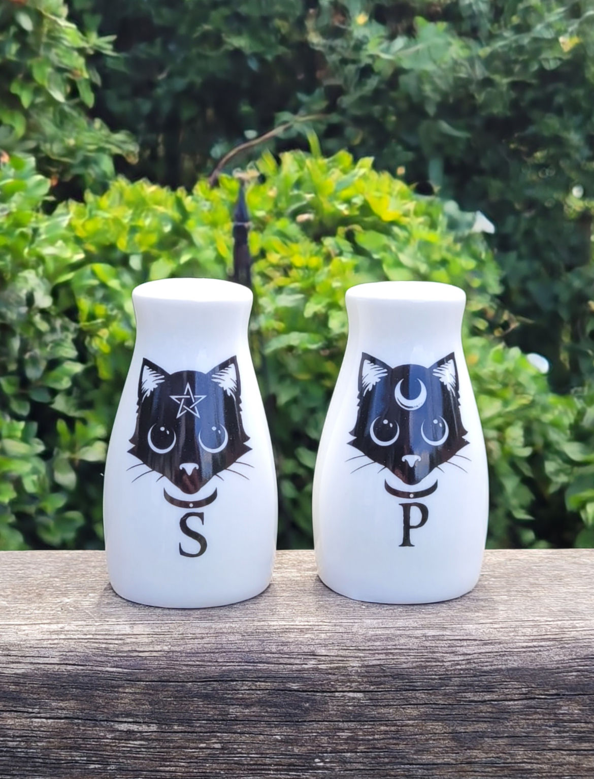 Salt & Pepper Set