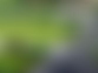 Sameera Divine Square: A New Landmark for Plot Investments