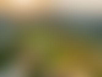 Homes at Della Racecourse Pune | Apartments, Plots & Penthouses