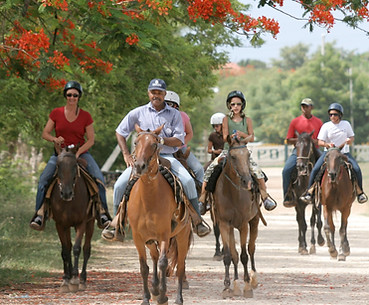 Horseback-2.jpg