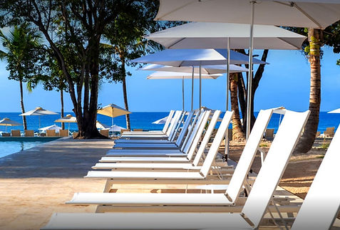 beech chairs.jpeg
