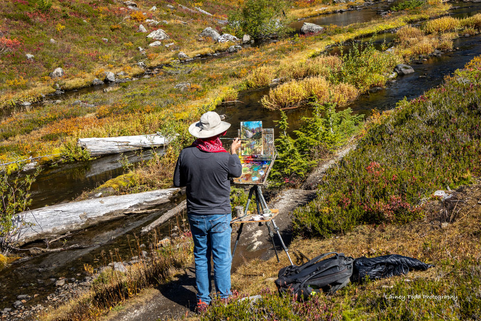 Artists Point Painter