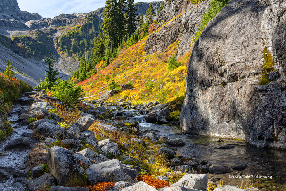 2. Bagley Creek Autumn Mt. Baker