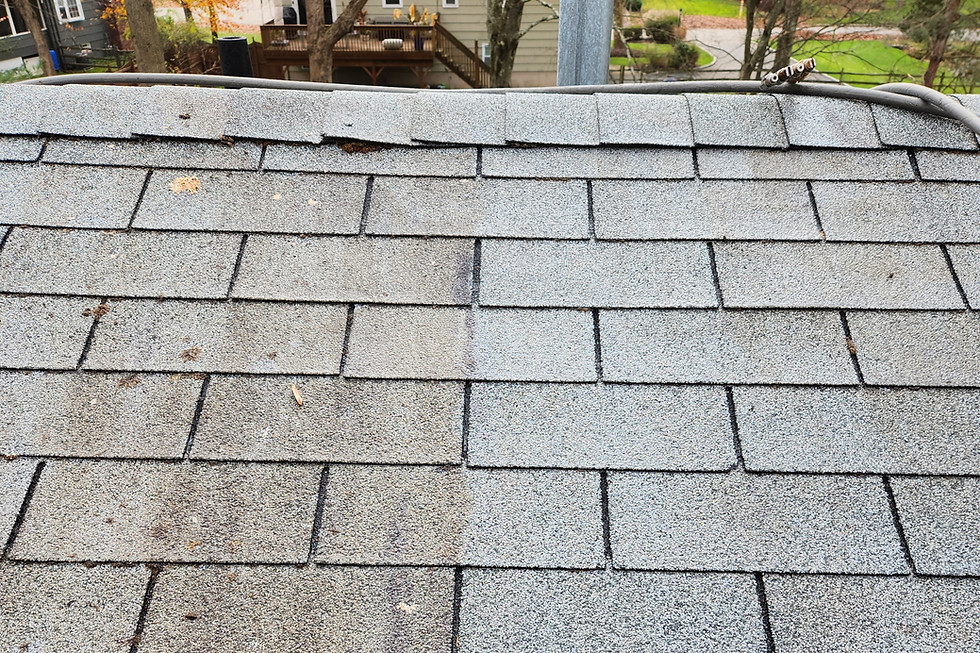 Roof Soft Wash North NJ