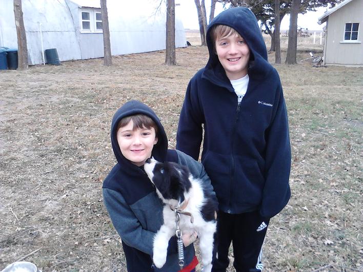 Gallery janzenfamilyfarms