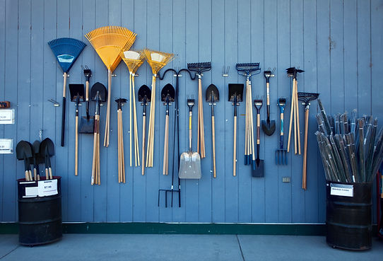 A lot of well organized yard tools hanging on a wall and in a couple of barrel.s