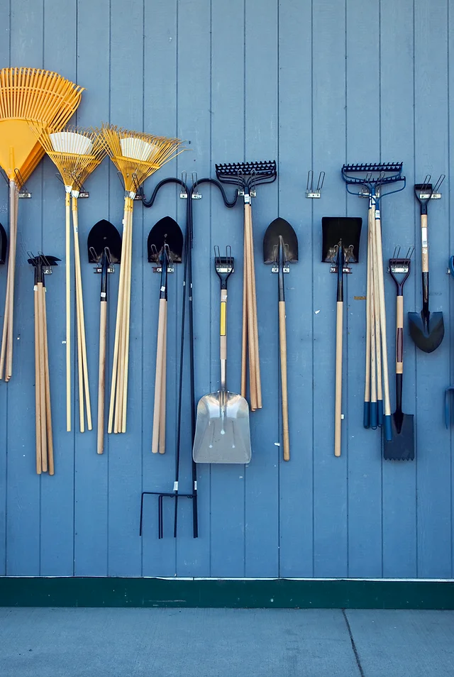 Plants Garden Dublin