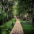 My journey