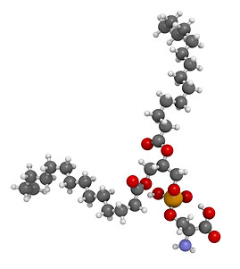 Titans Boost Sharp Blue Fosfatidilserin, Phosphatidylserine