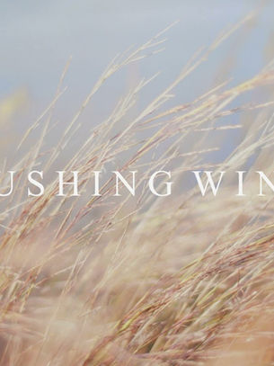 A Fresh Wind is Coming Suddenly