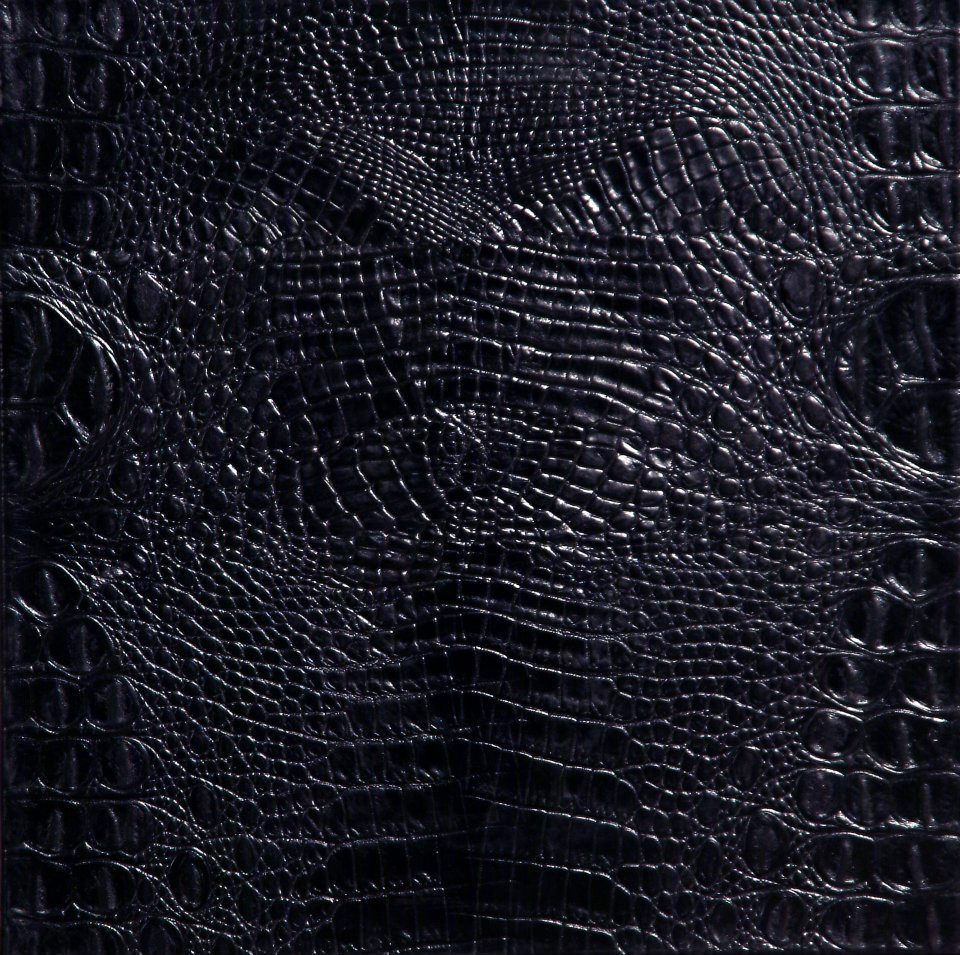 Caimán Negro