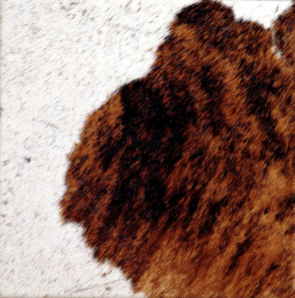 Pelo