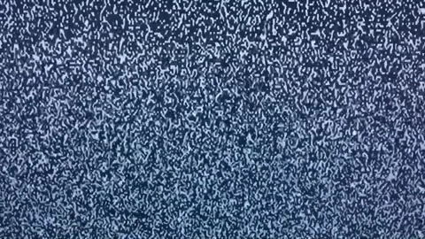 giphy.webp