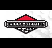 Briggs & Stratton racing engines