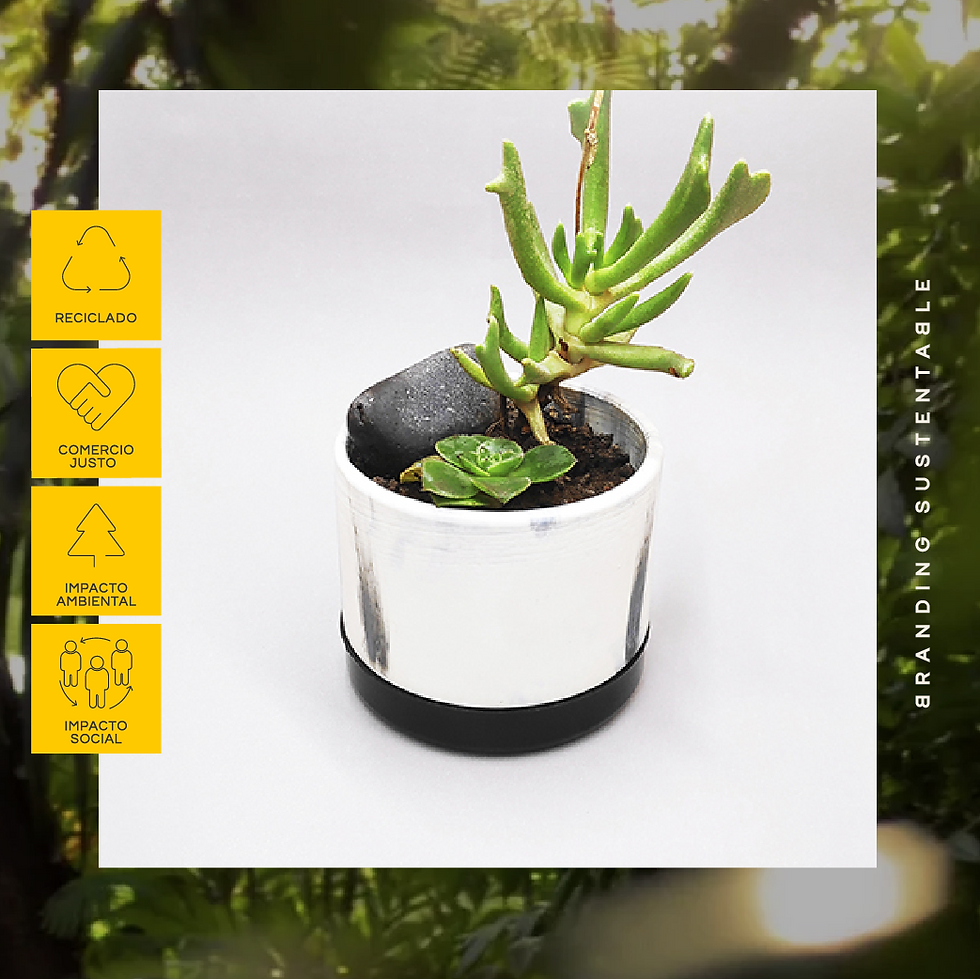 Maceta de plástico reciclado