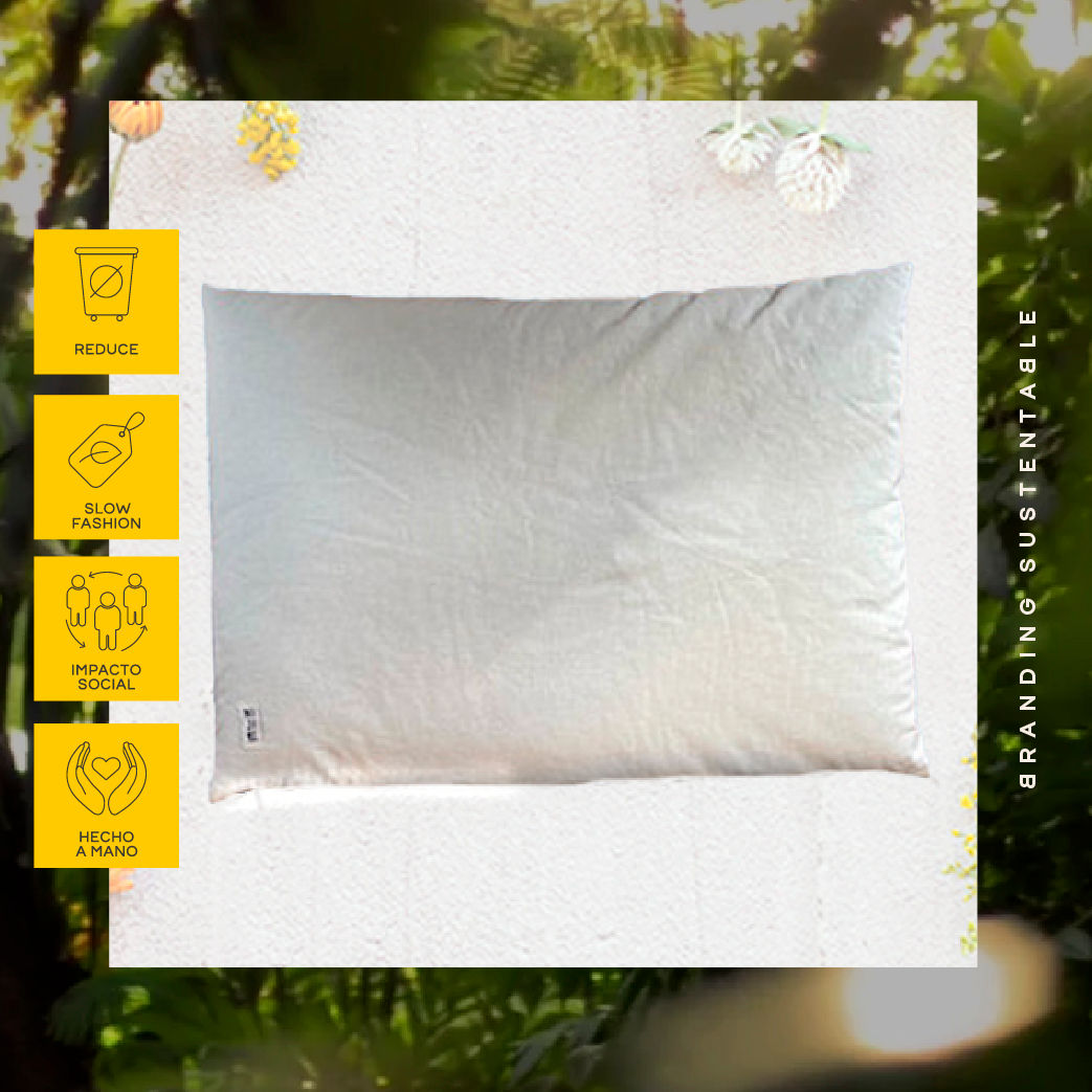 Almohada semillas