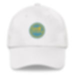 The Minnesota Historian Cap