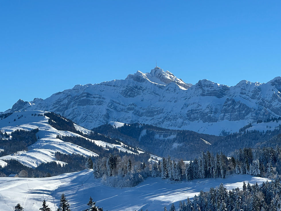 Bild des Berg Säntis voller Schnee
