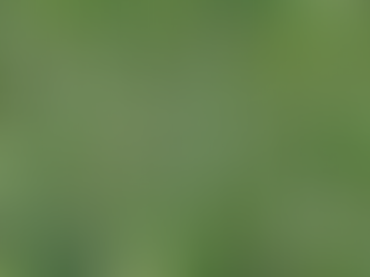 Führung, die stärkt – 10 Fragen fürs Stärkengespräch, die Vertrauen vertieft und Motivation fördert