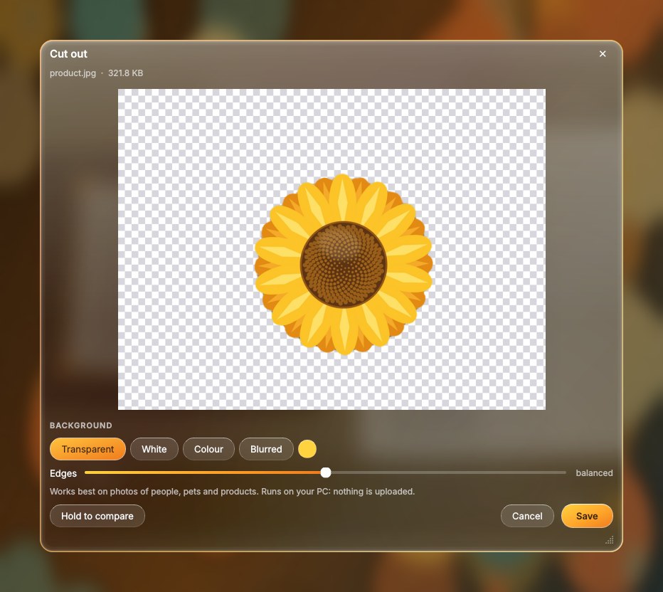 The Cut out window showing a sunflower with its background removed on a transparent checkerboard
