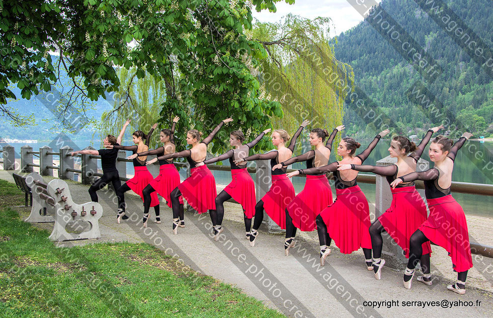 site projets copyright33