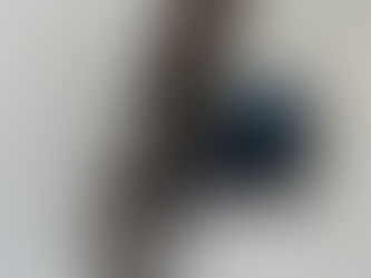 Descuentos en placas para mascotas